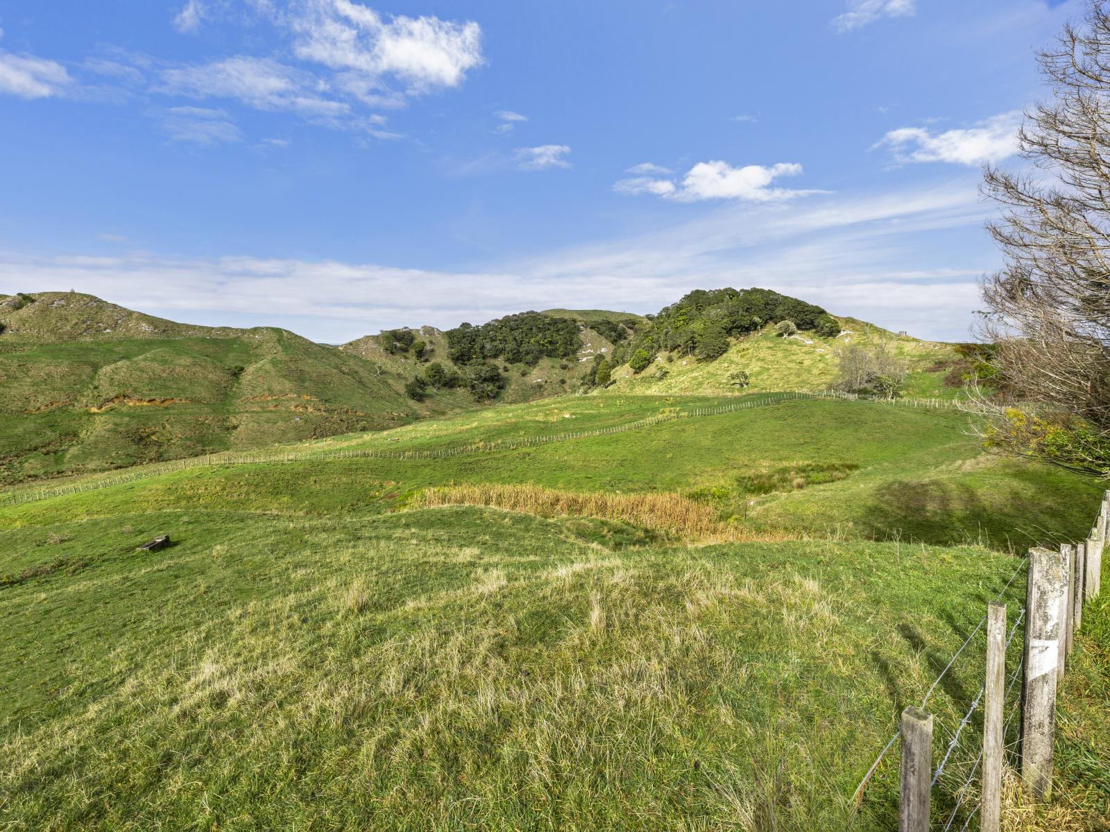 279 Taumatatotara Road, Te Kuiti