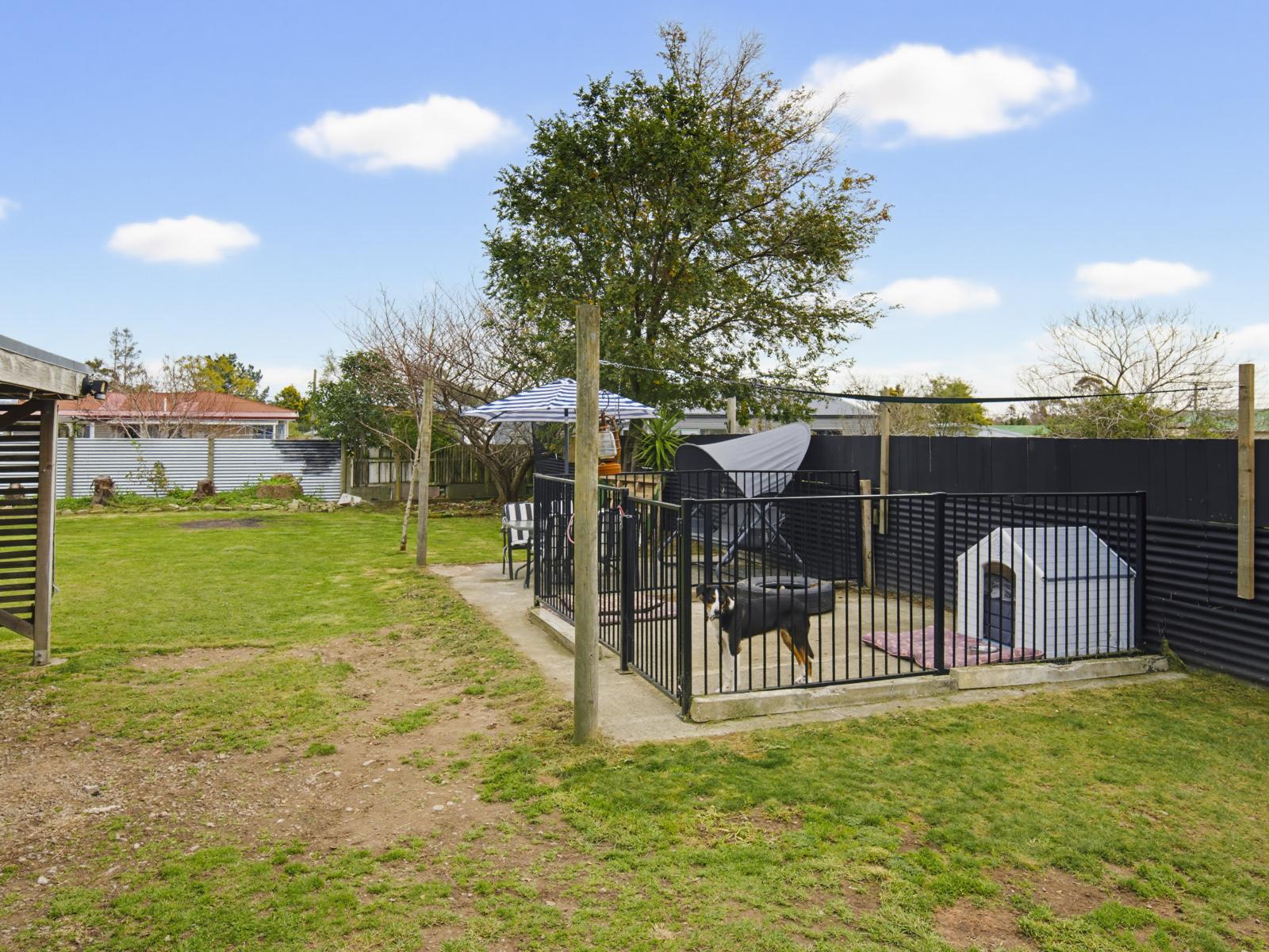 54 Ballance Street, Shannon