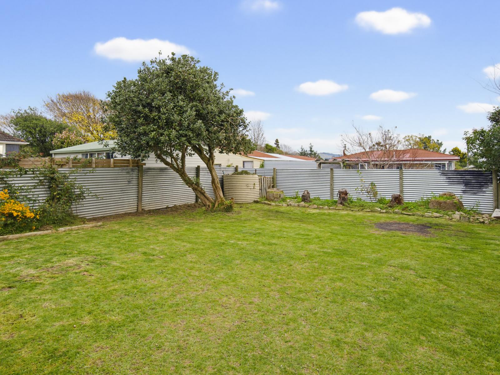 54 Ballance Street, Shannon