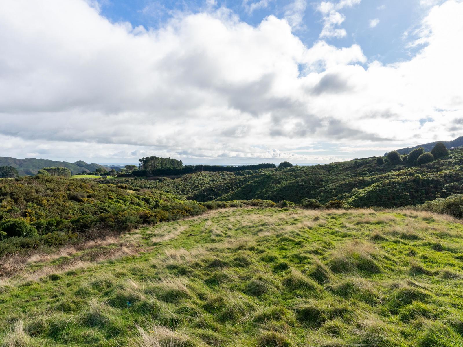 27 Waihoanga Road, Hautere