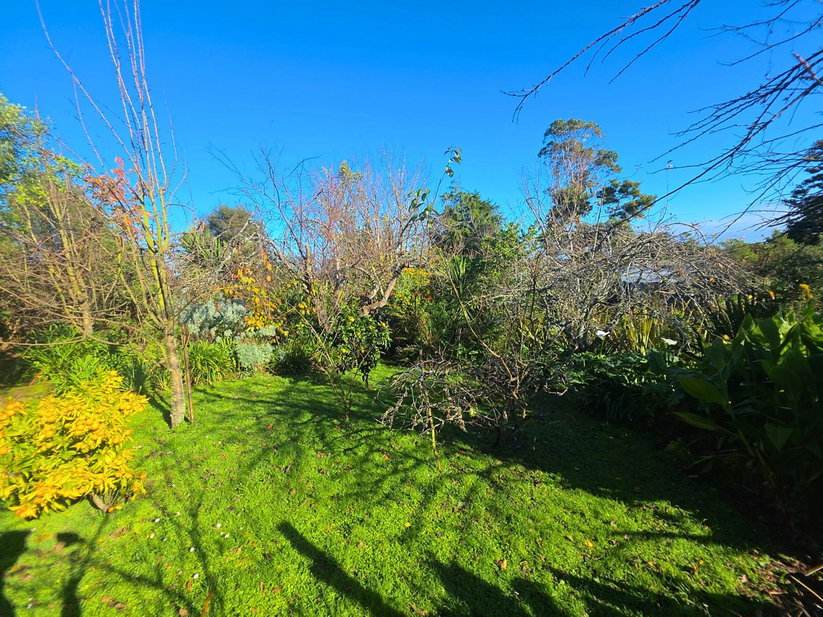 18 Terrace Street, Marton