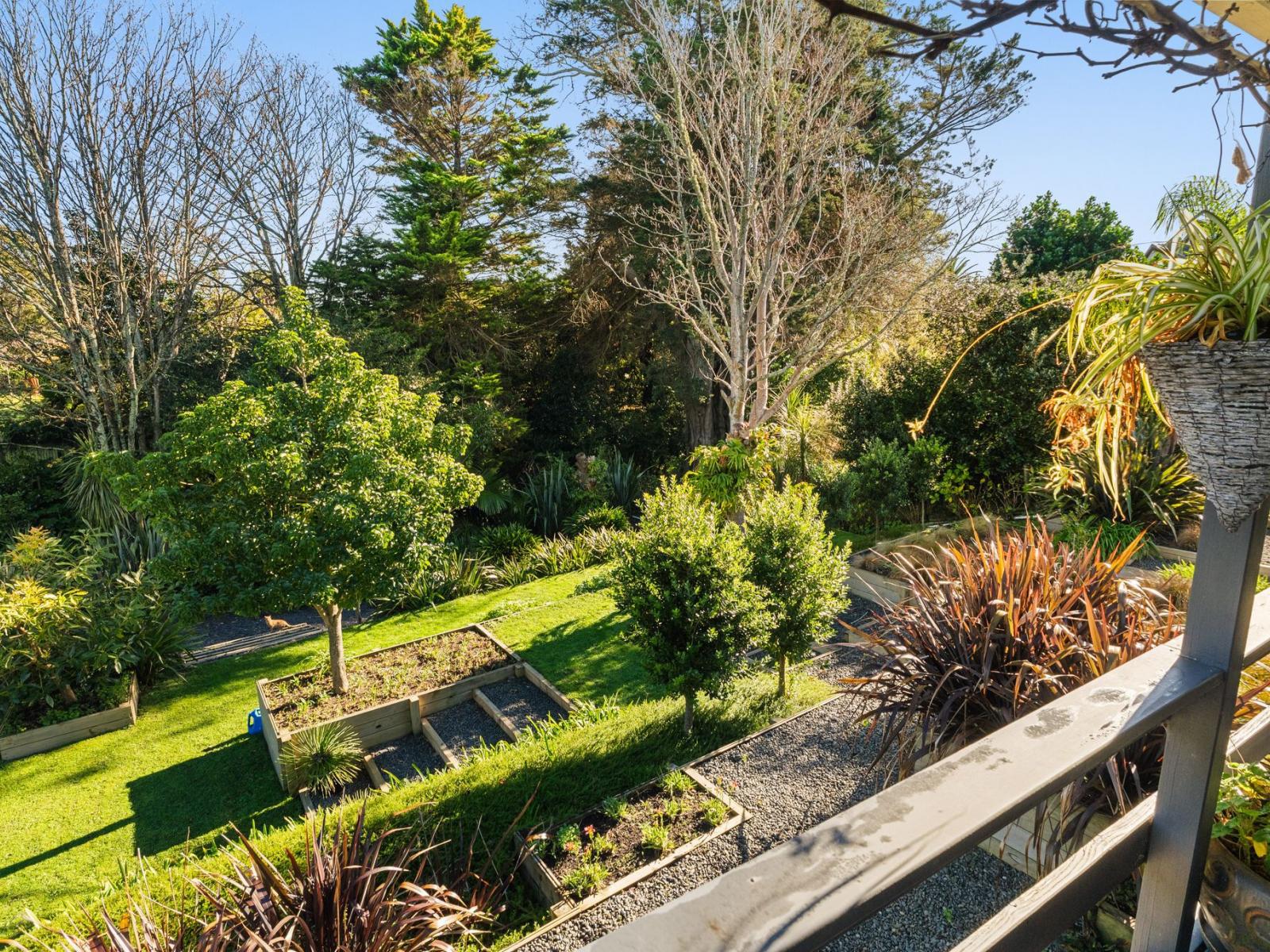110 Harris Street, Inner Kaiti