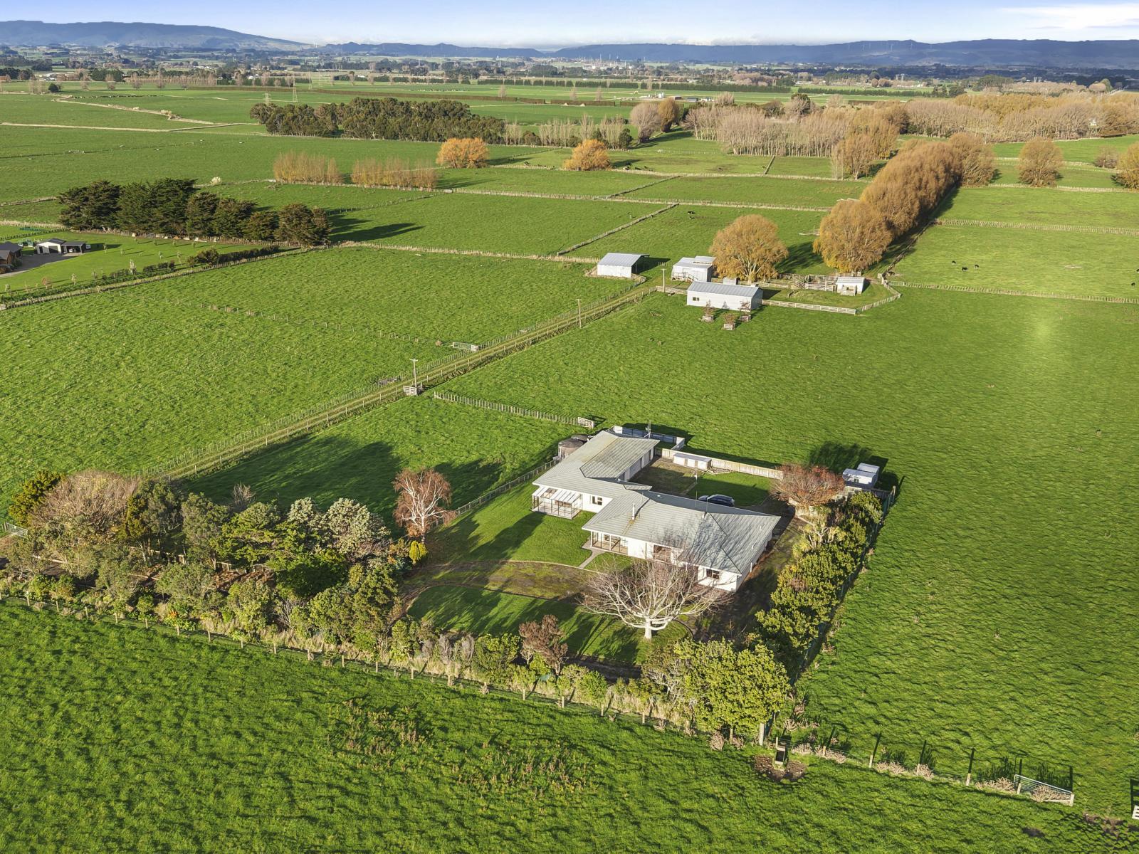 1204 Camerons Line, Aorangi