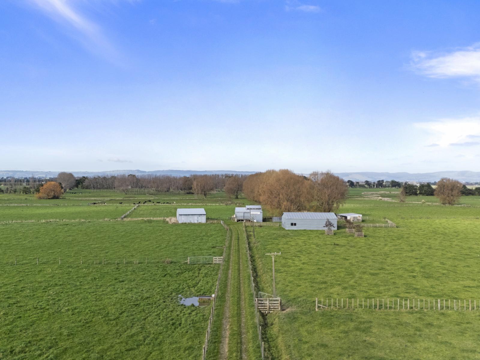 1204 Camerons Line, Aorangi