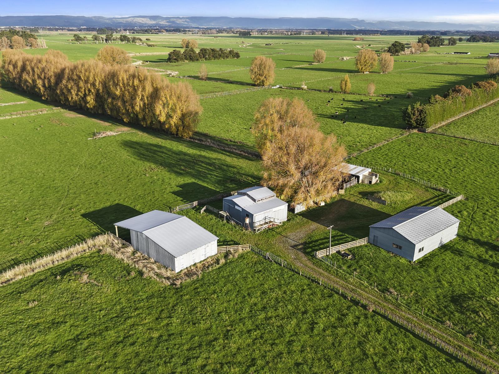 1204 Camerons Line, Aorangi
