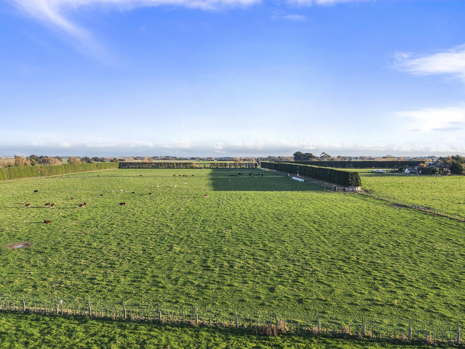 1204 Camerons Line, Aorangi