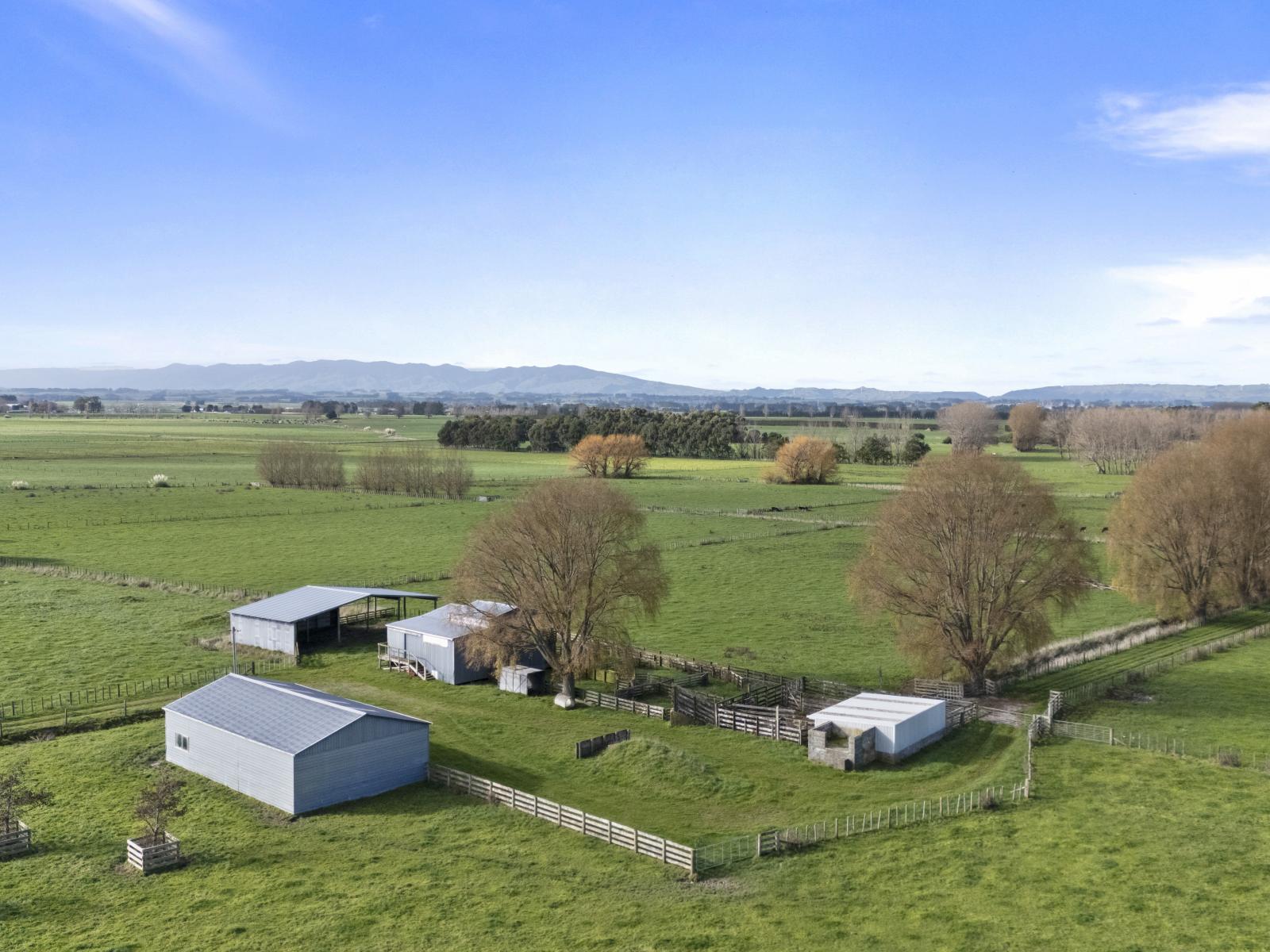 1204 Camerons Line, Aorangi
