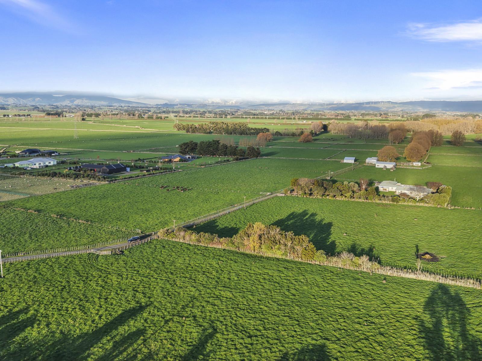 1204 Camerons Line, Aorangi