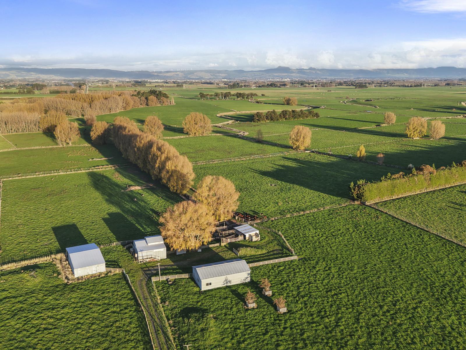 1204 Camerons Line, Aorangi