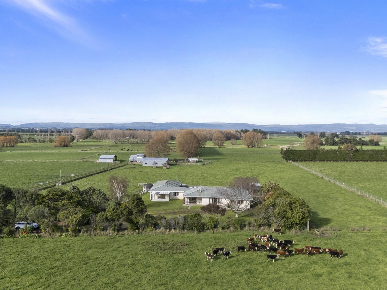1204 Camerons Line, Aorangi