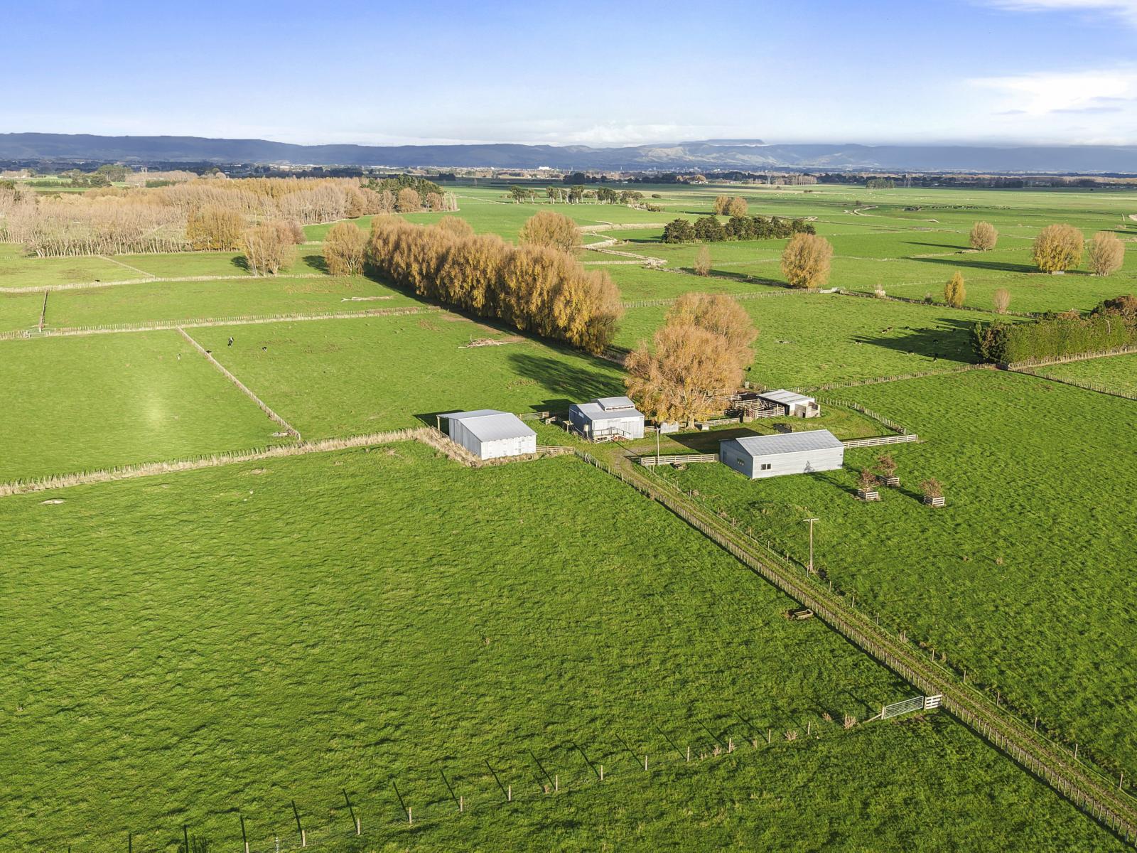 1204 Camerons Line, Aorangi