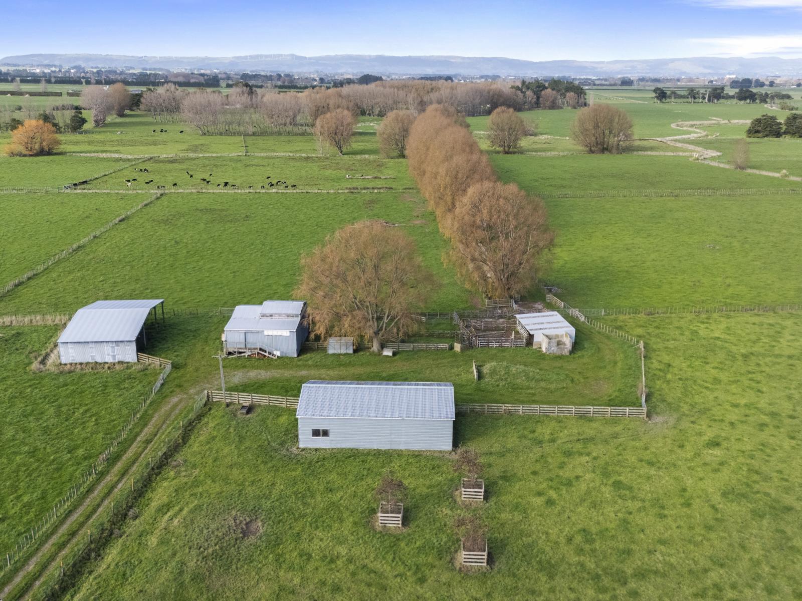 1204 Camerons Line, Aorangi