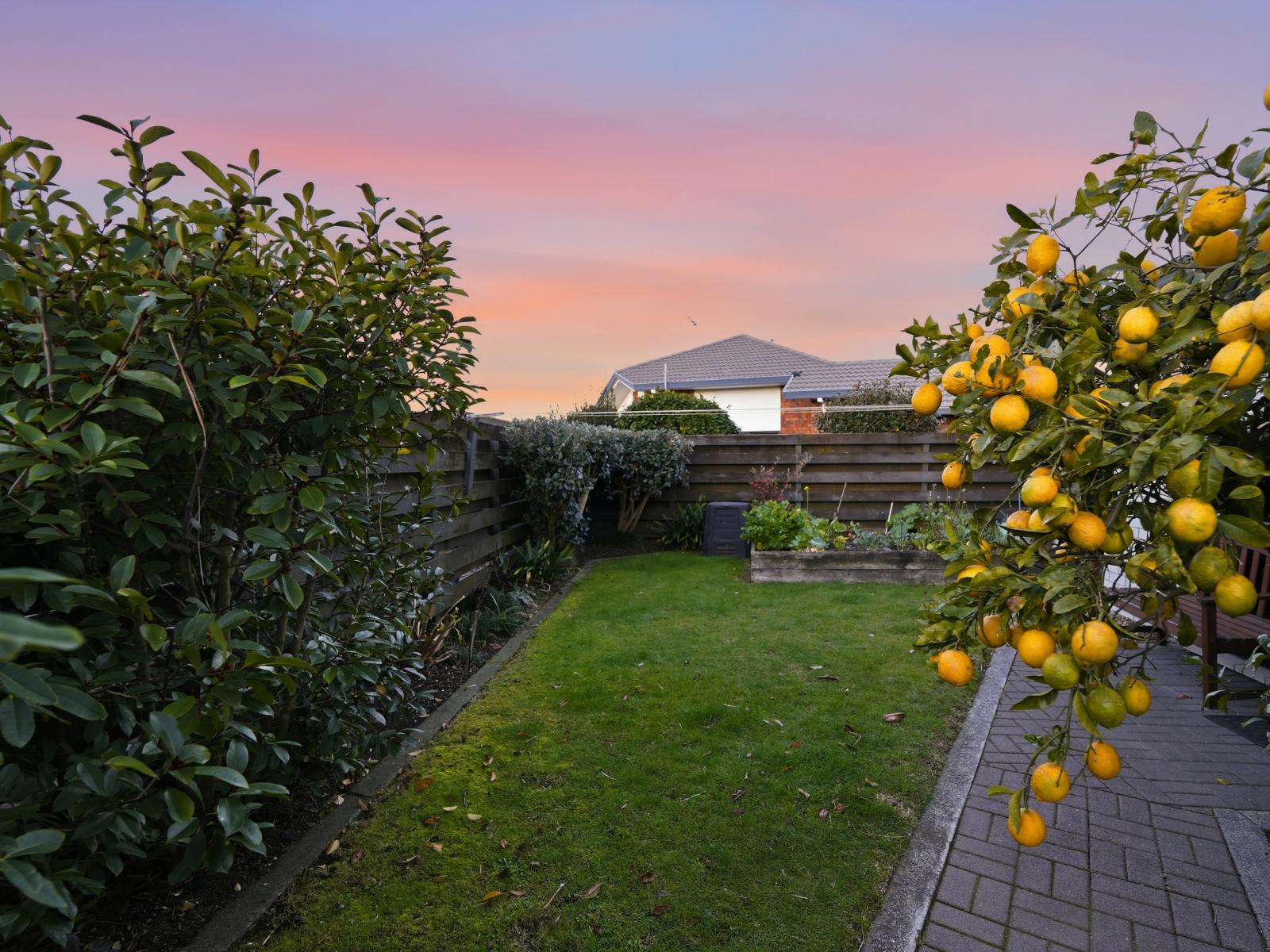 177 Grenada Street, Mount Maunganui
