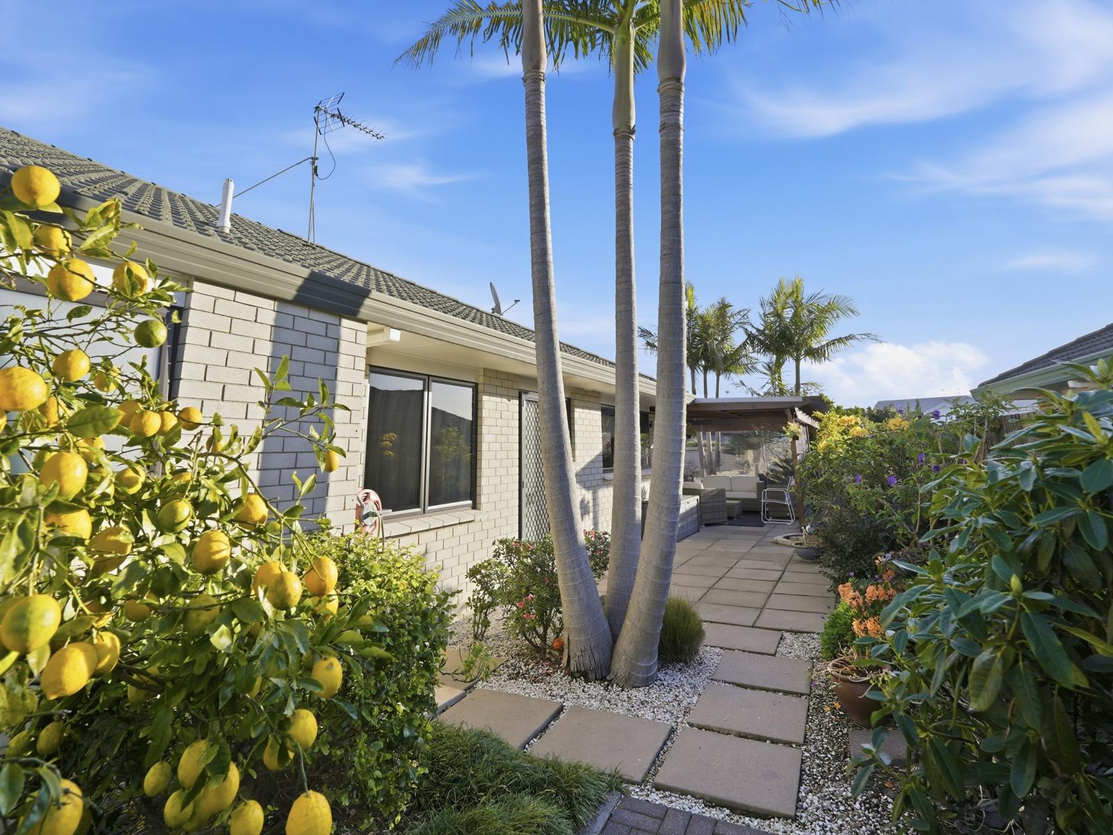 177 Grenada Street, Mount Maunganui