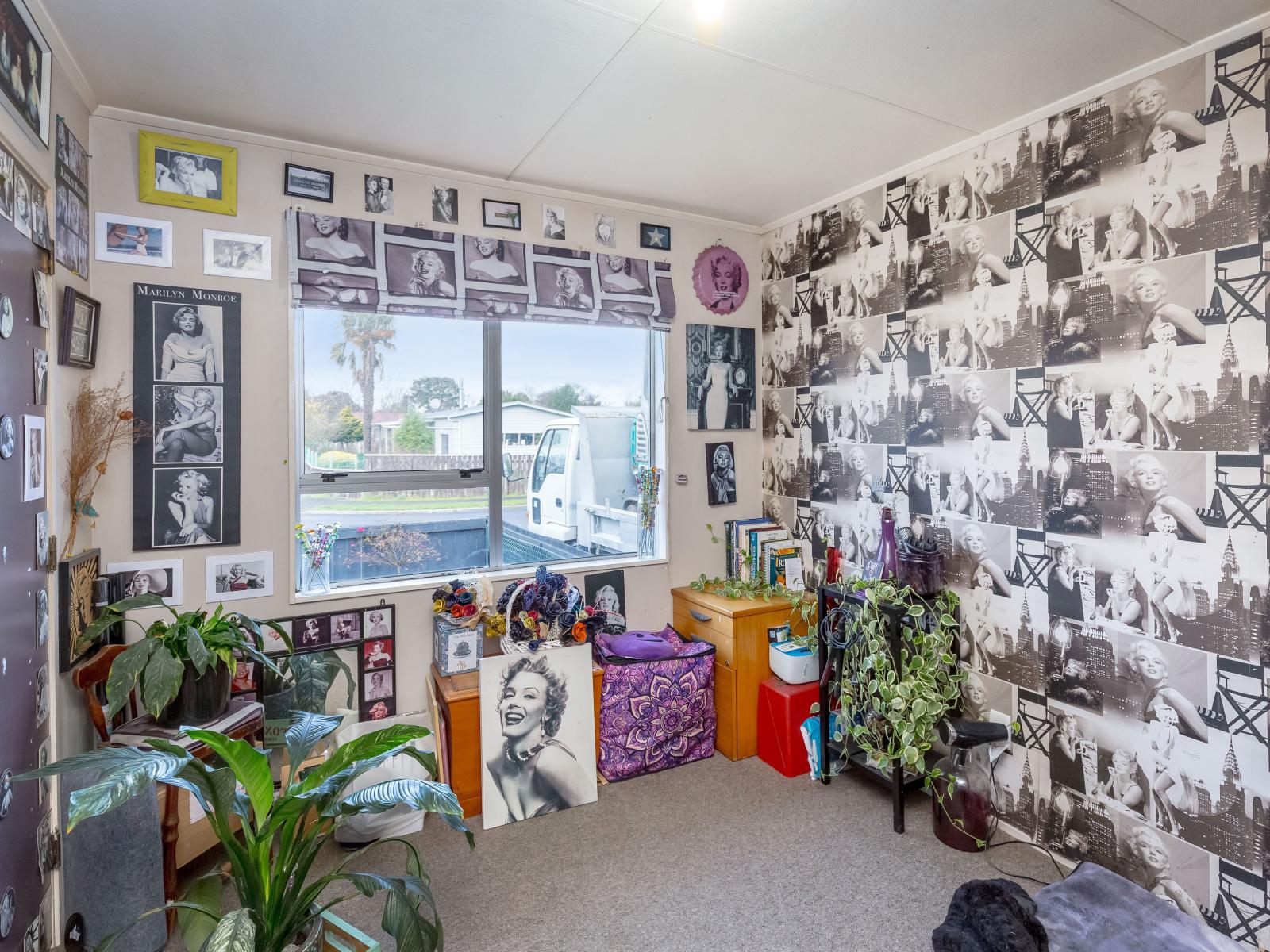 18 Kupe Drive, Carterton