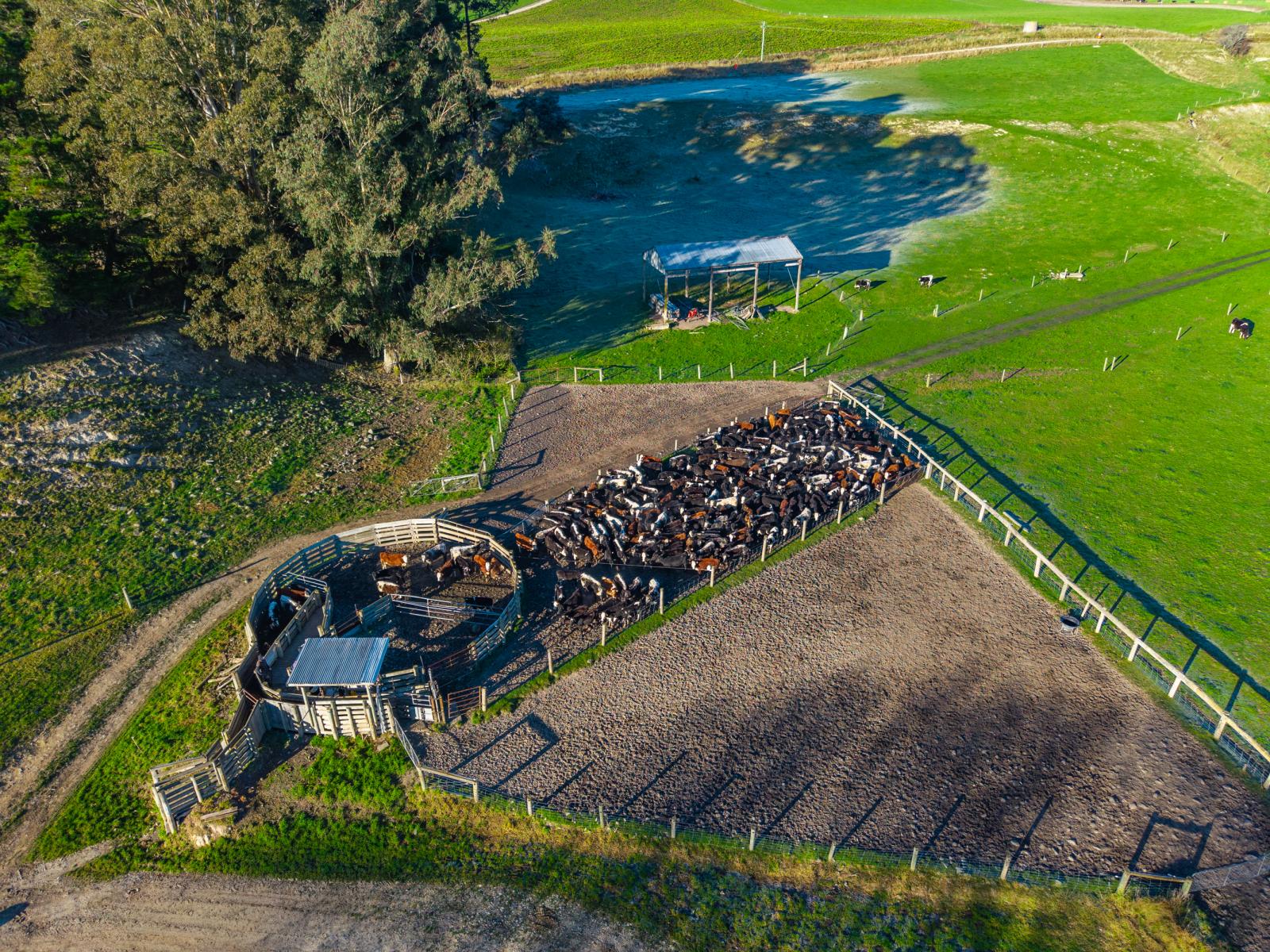 744 Motukaika Road, Maungati
