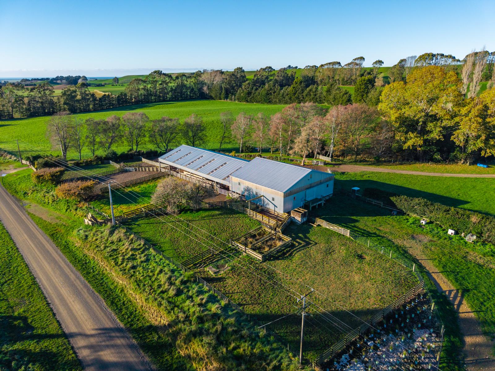 463 Dog Kennel Road, Waimate