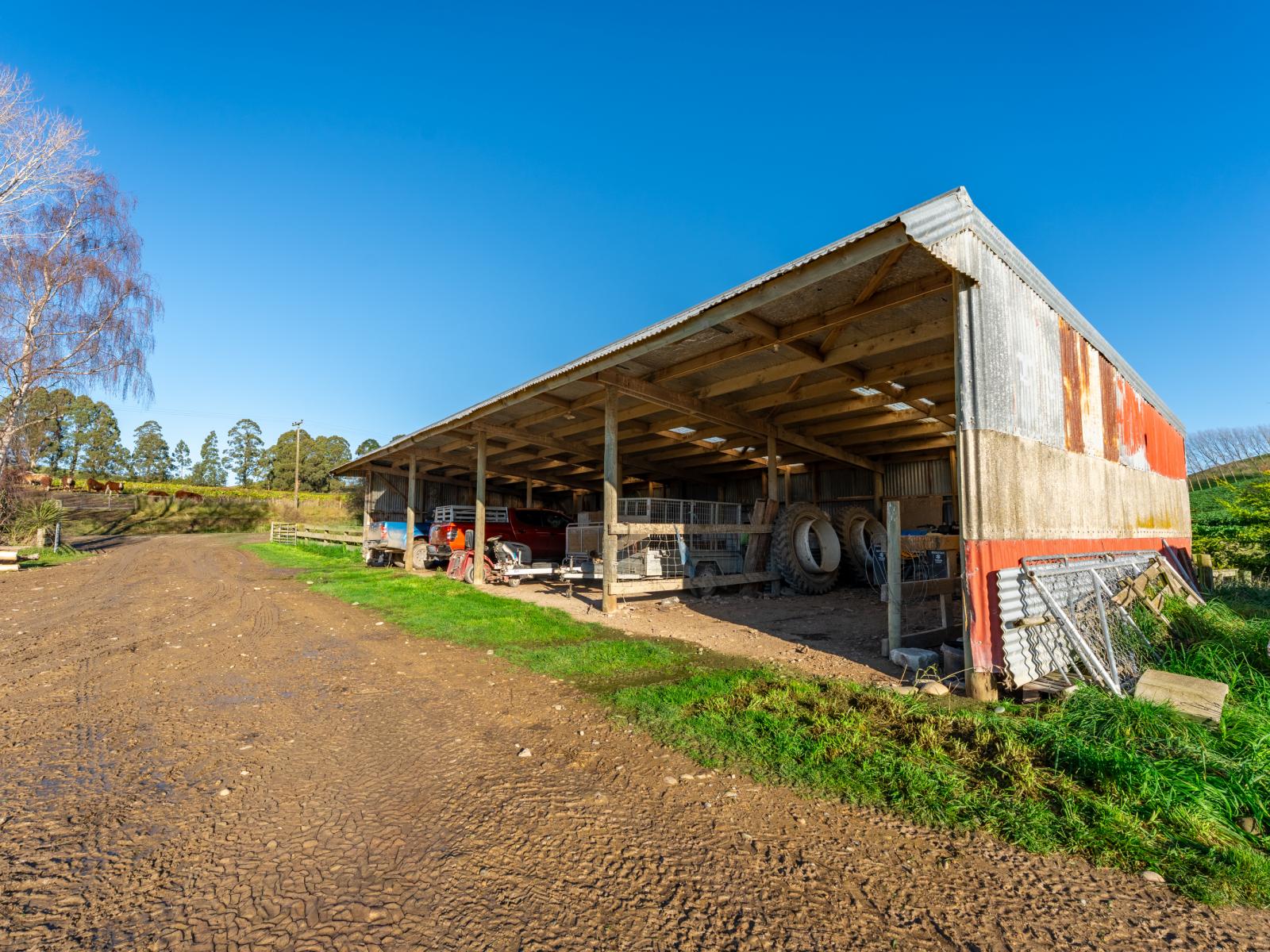 463 Dog Kennel Road, Waimate