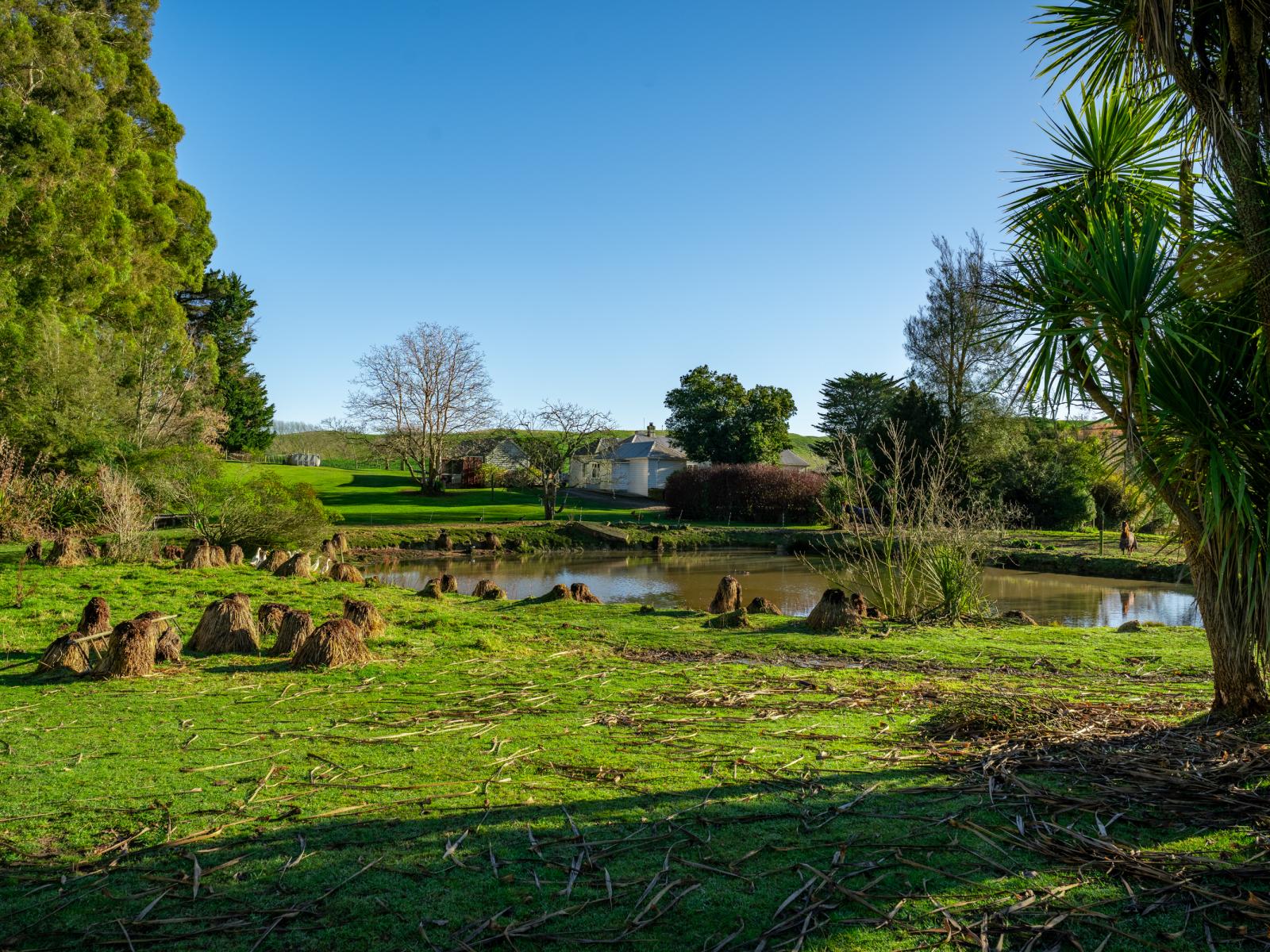 463 Dog Kennel Road, Waimate