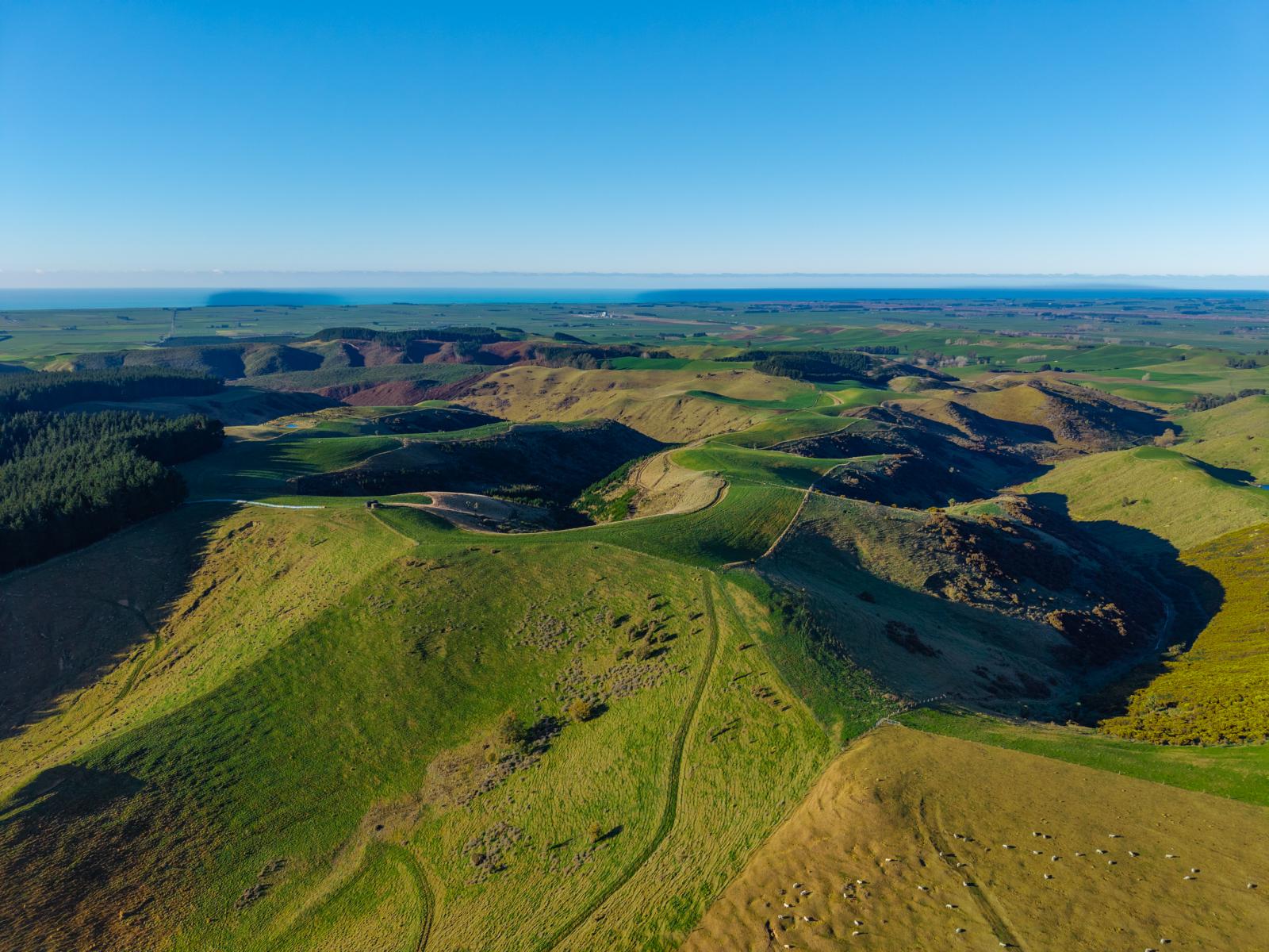 463 Dog Kennel Road, Waimate