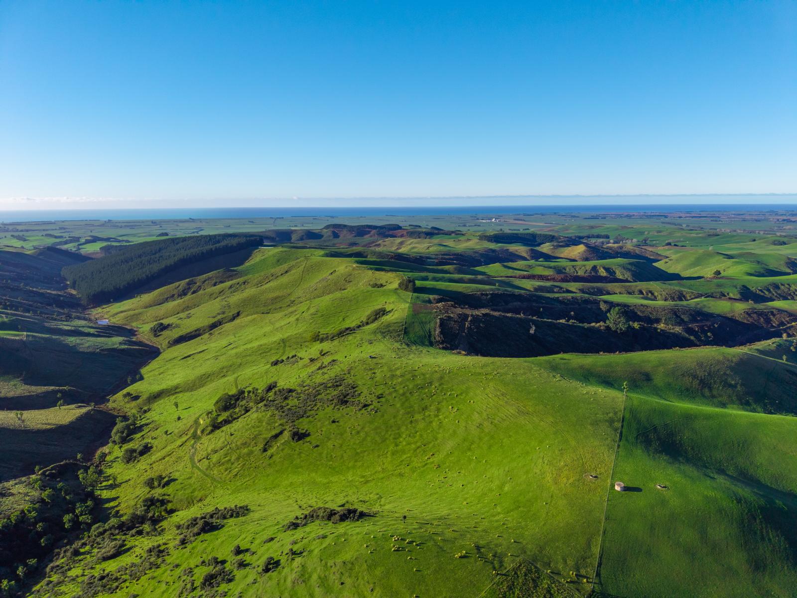 463 Dog Kennel Road, Waimate