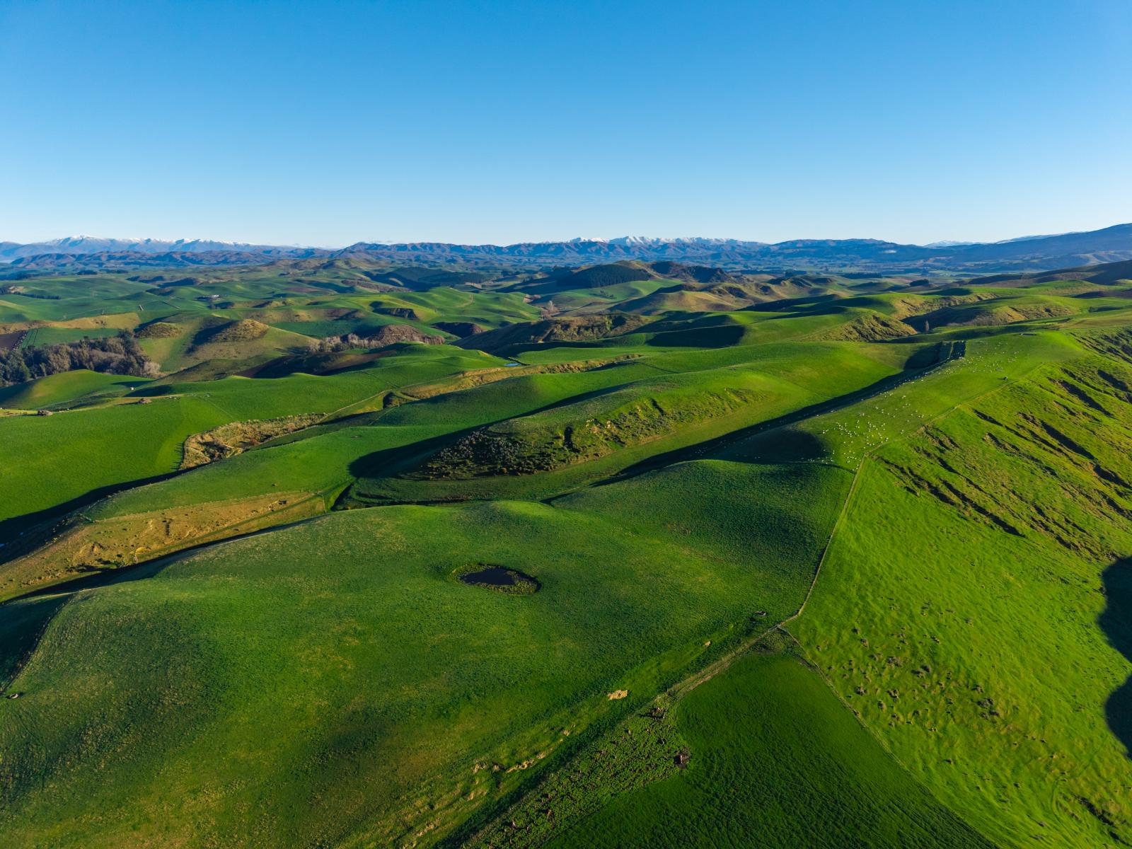 463 Dog Kennel Road, Waimate