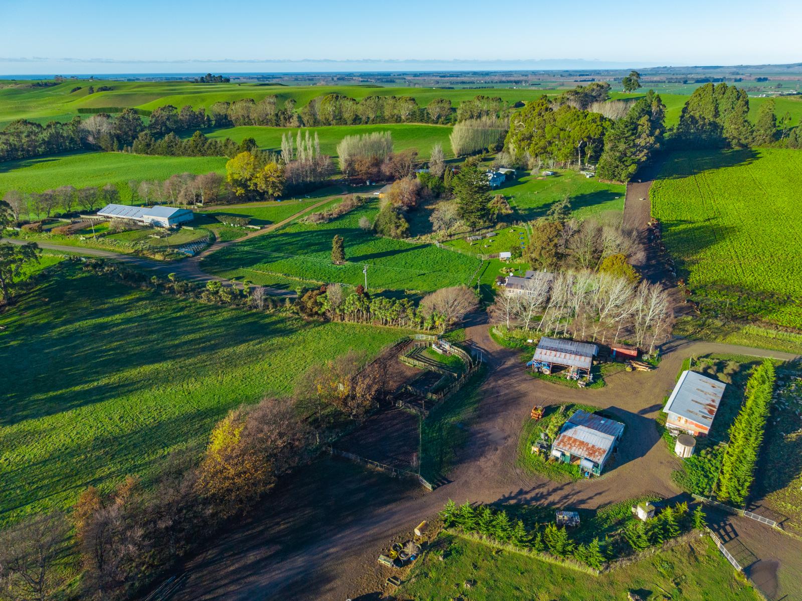 463 Dog Kennel Road, Waimate