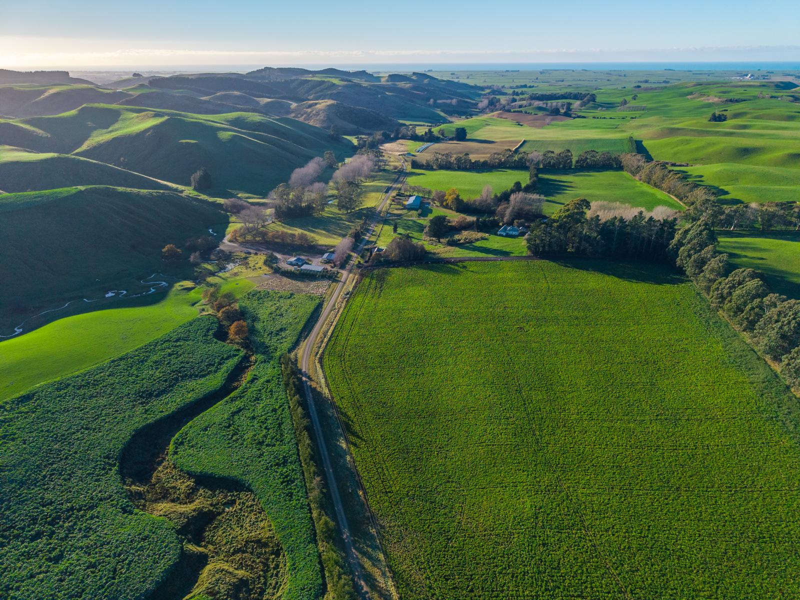 463 Dog Kennel Road, Waimate
