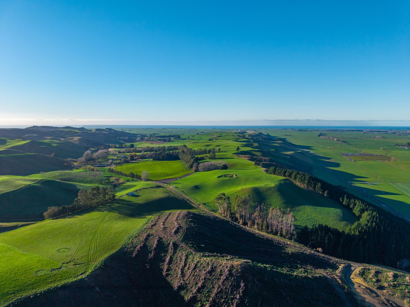 463 Dog Kennel Road, Waimate