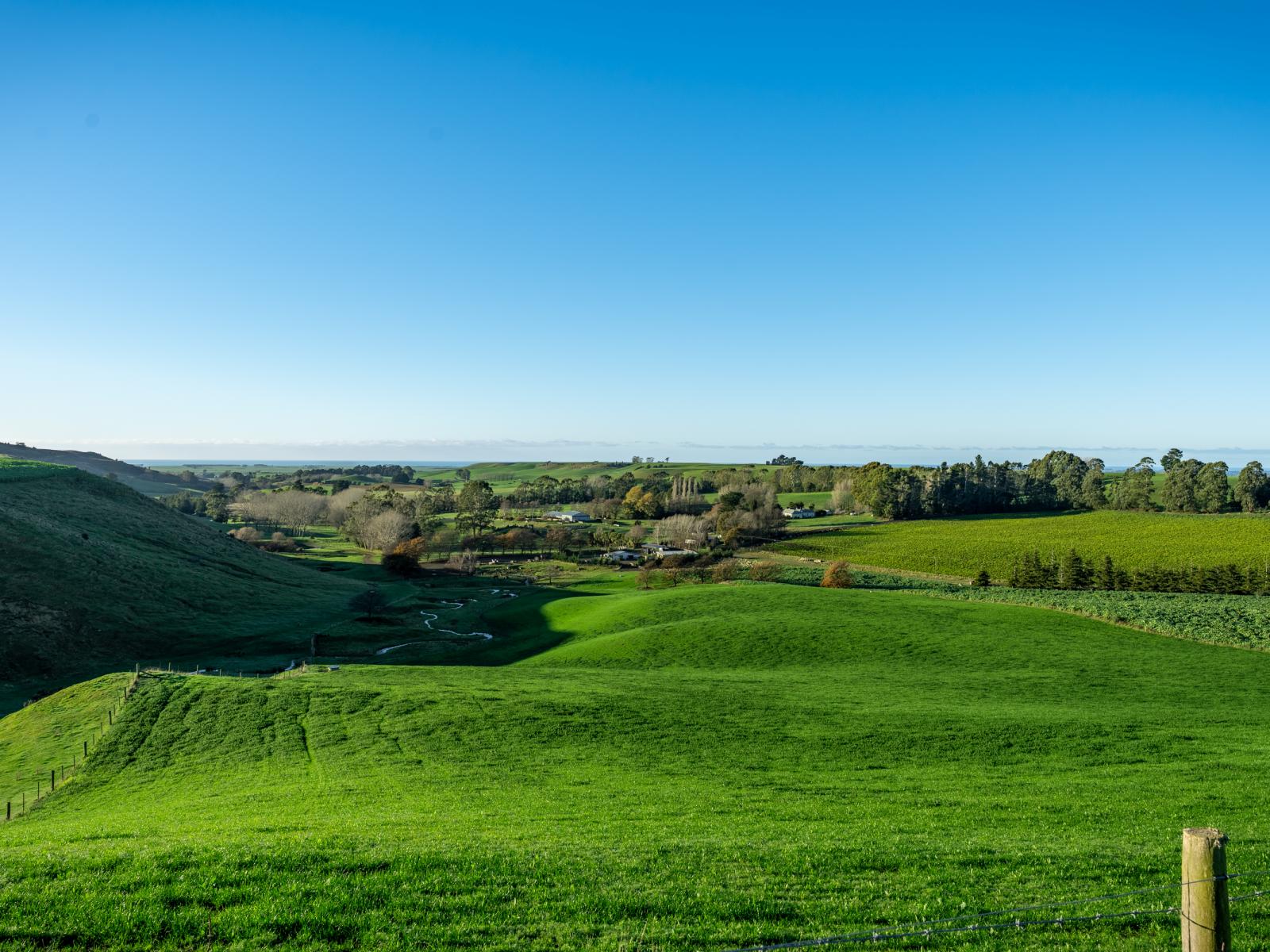 463 Dog Kennel Road, Waimate