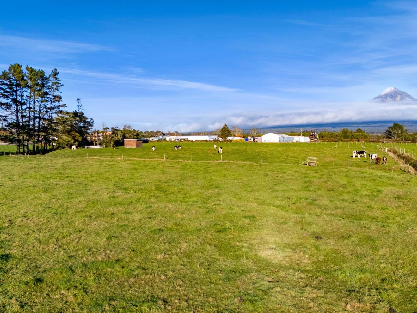 39 Rugby Road, Tariki