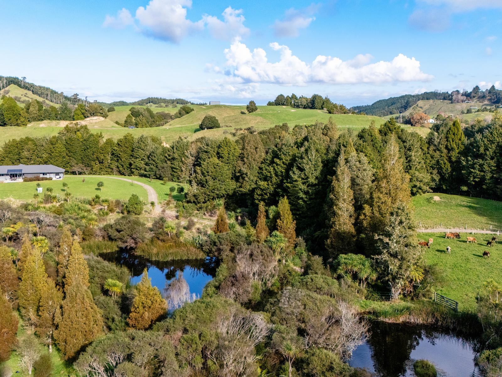 693A Stanley Road, Whakatane