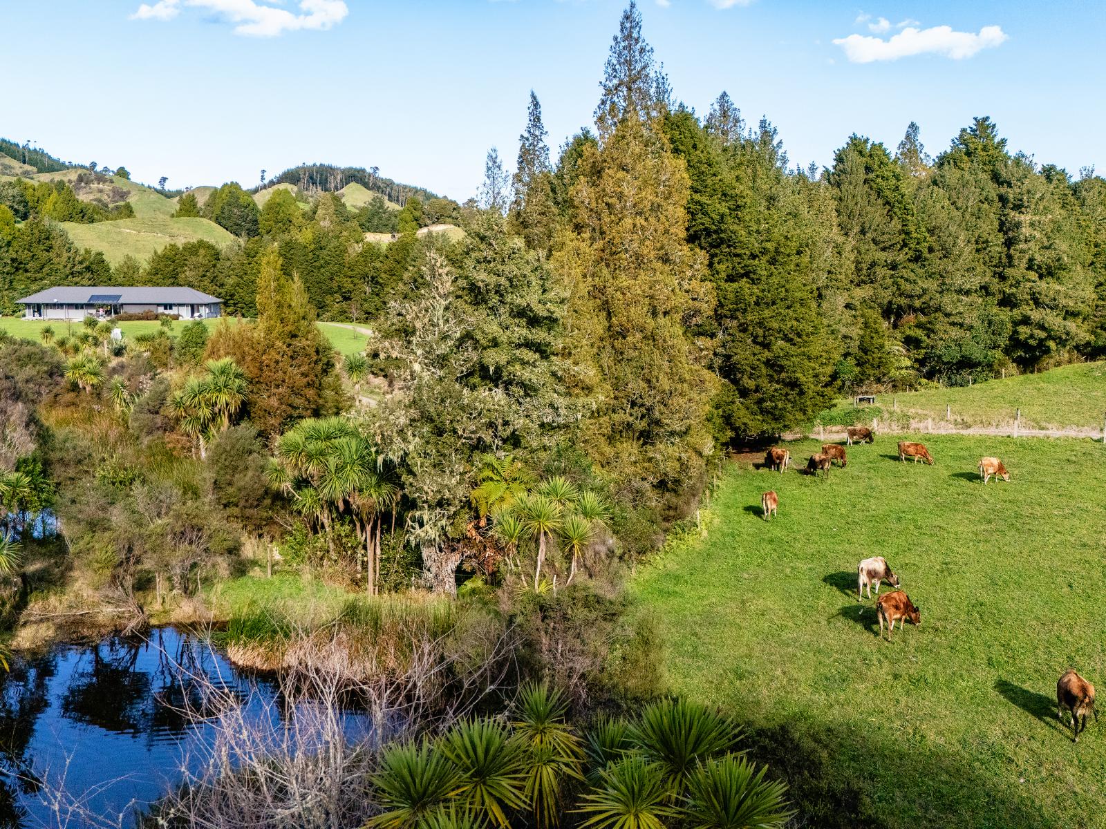 693A Stanley Road, Whakatane