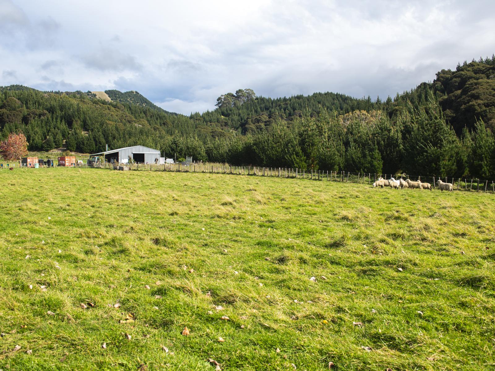 2133A Wharekopae Road, Ngatapa