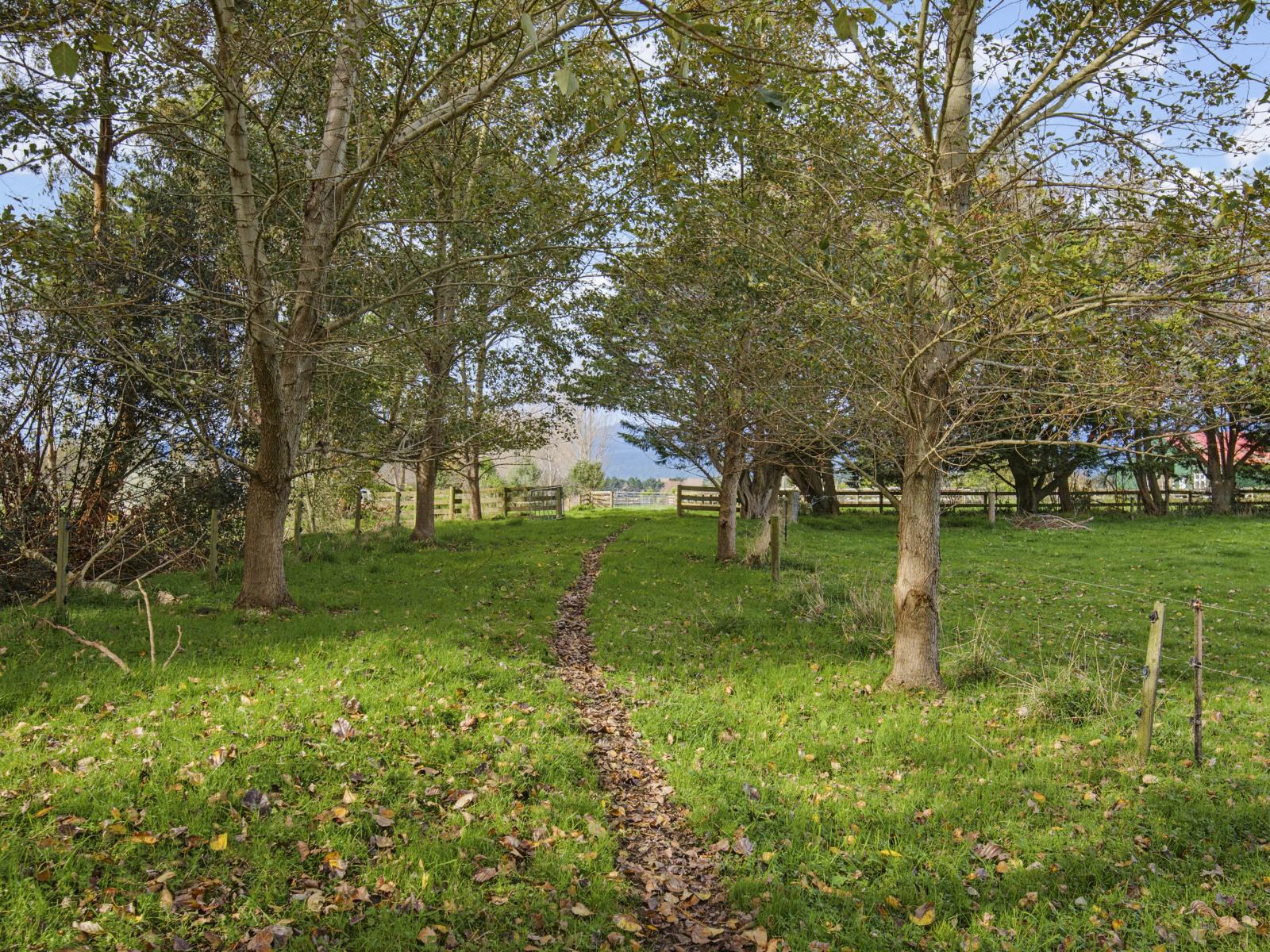 36 Painua Road, Hokio Beach