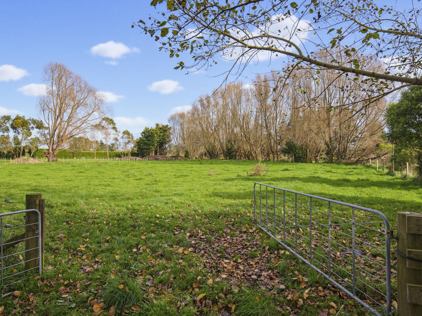 36 Painua Road, Hokio Beach