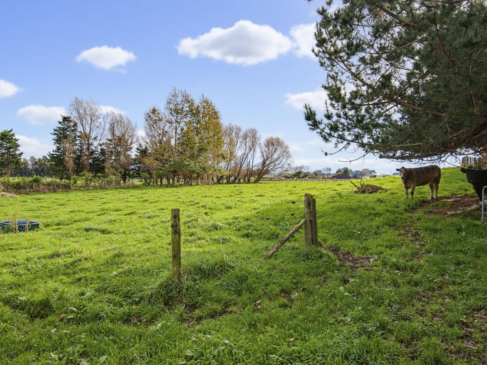 36 Painua Road, Hokio Beach