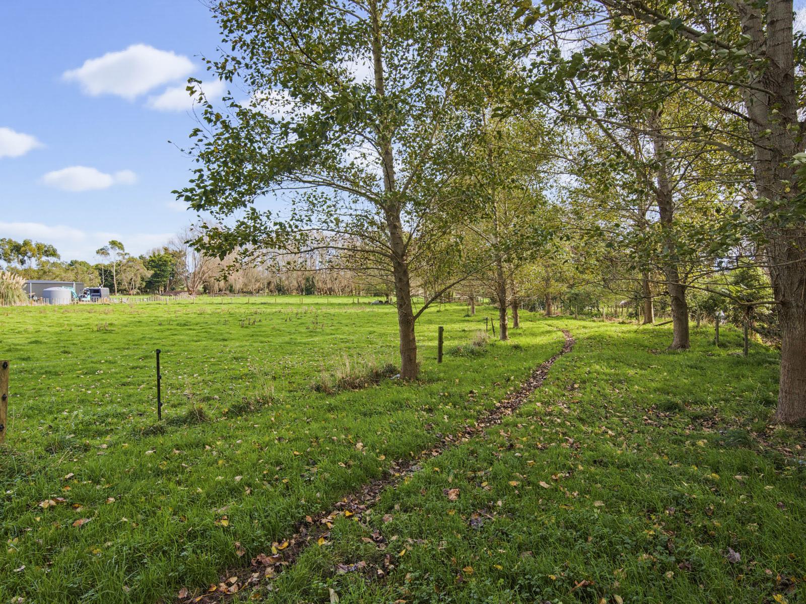 36 Painua Road, Hokio Beach
