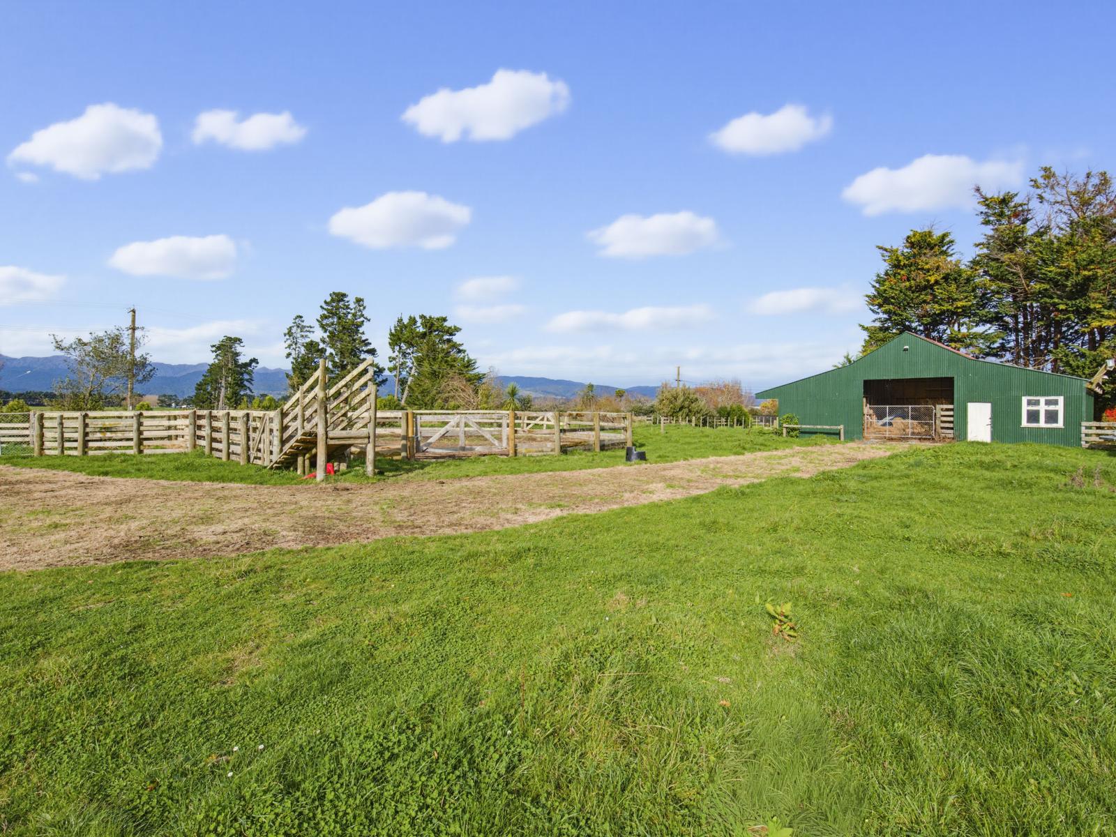 36 Painua Road, Hokio Beach