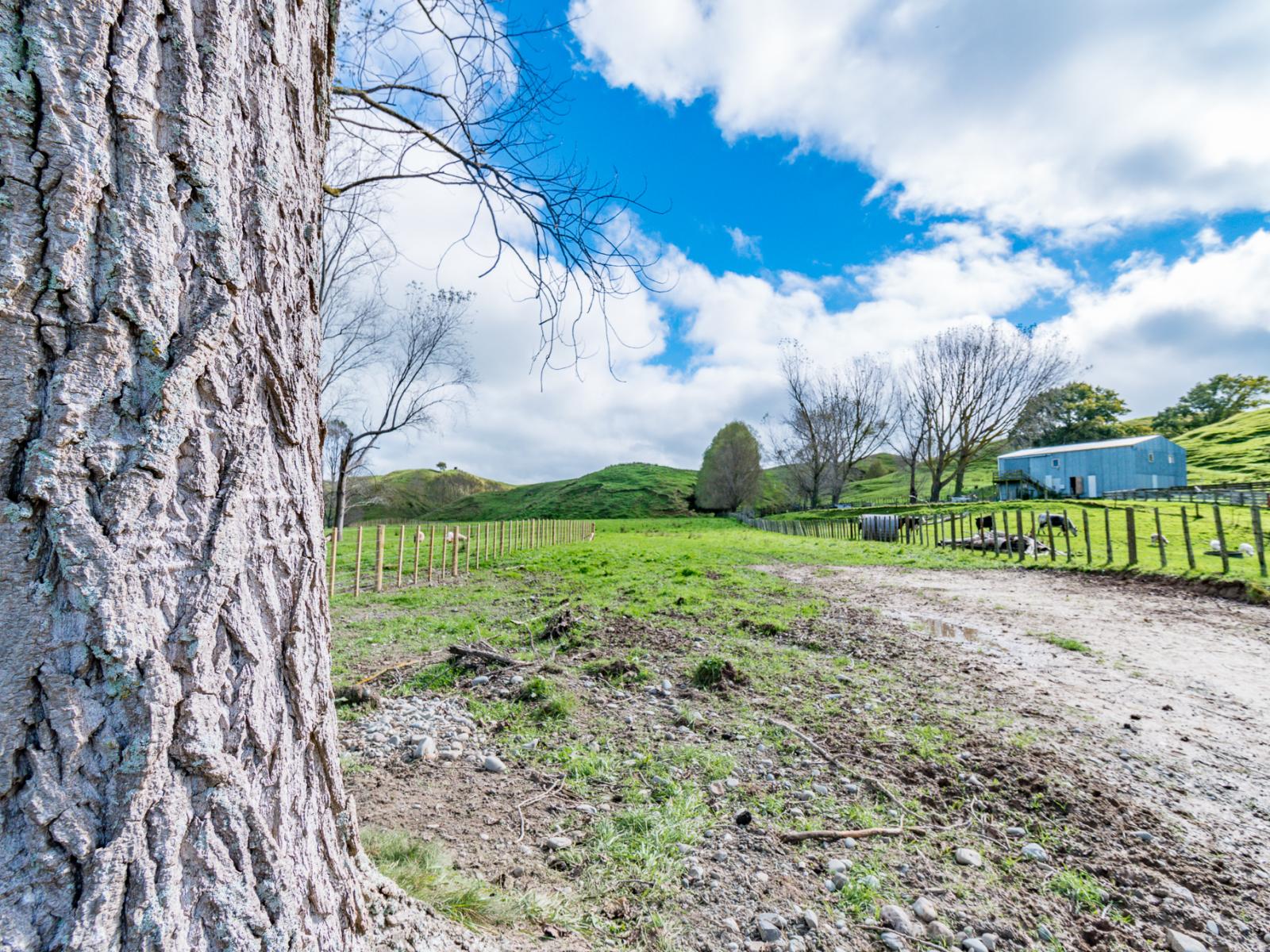 411 Valley Road, Colyton