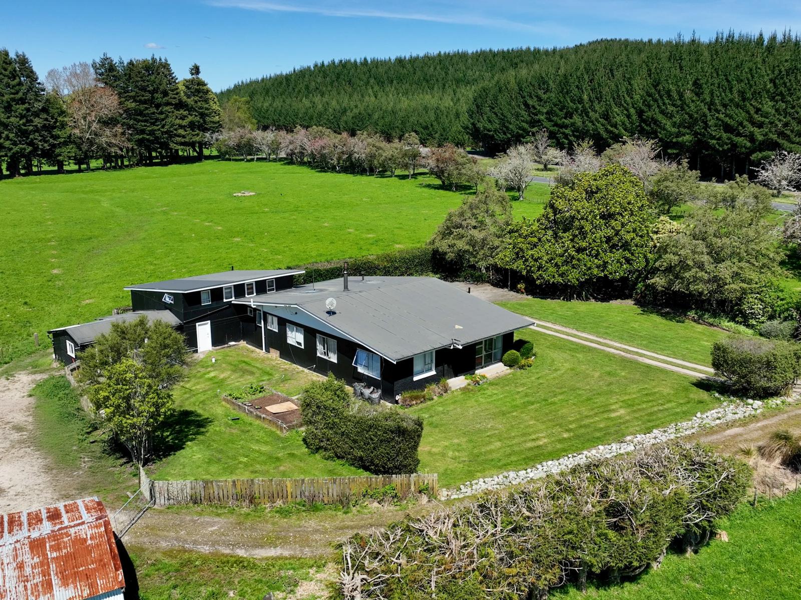 Rerewhakaaitu