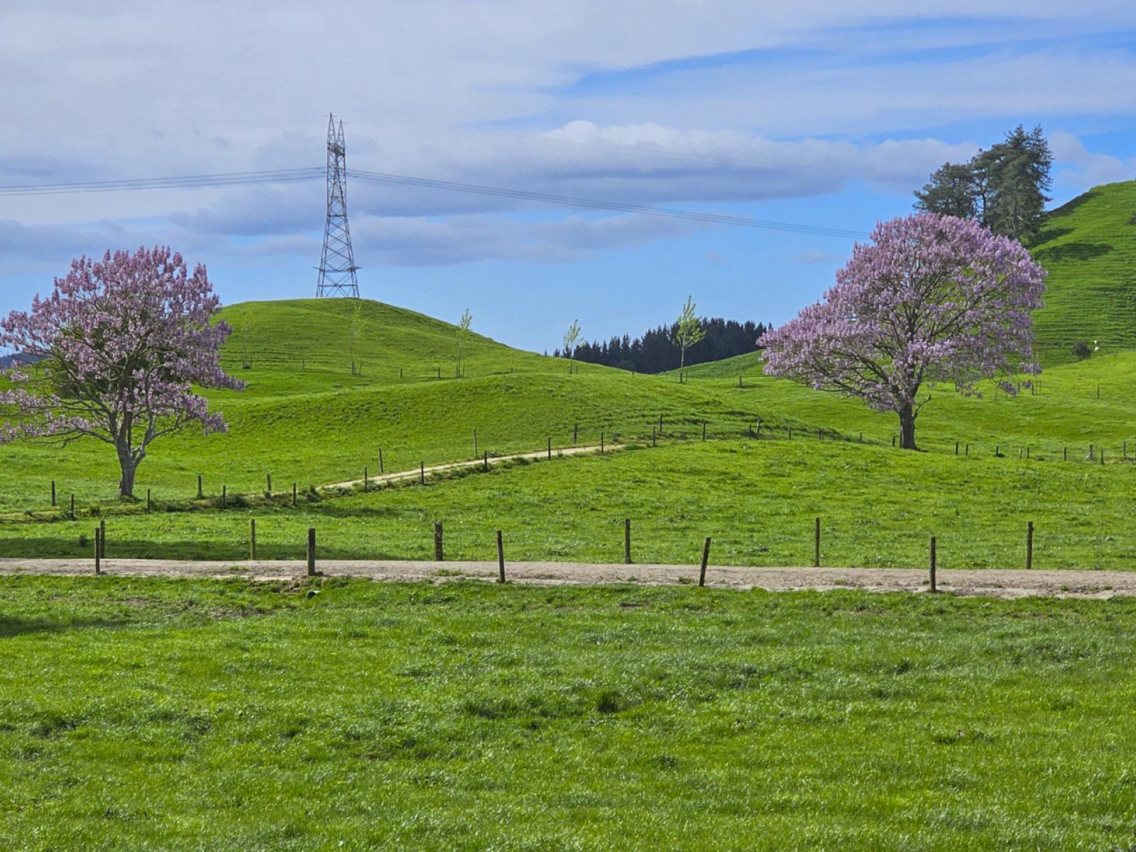 Rerewhakaaitu