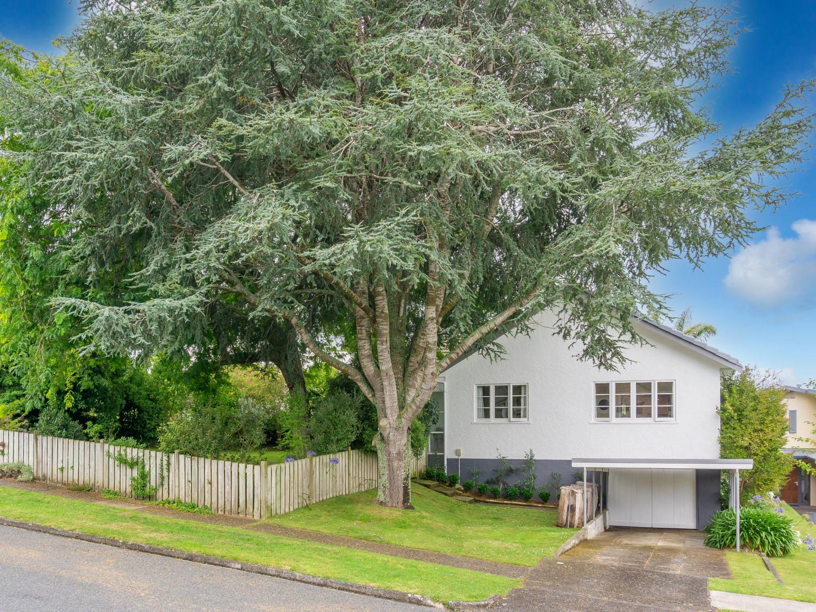 337 Wallace Terrace, Te Awamutu