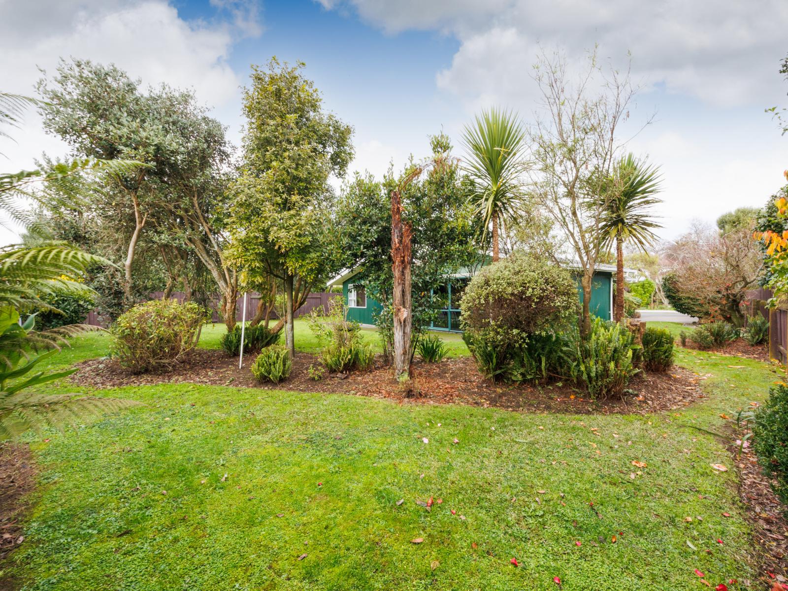 93 Manawatu Street, Hokowhitu