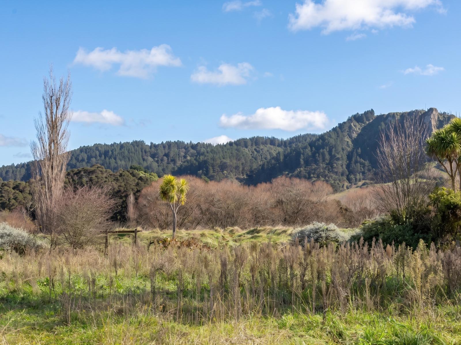 4 and 6 Charles Street, Tinui 