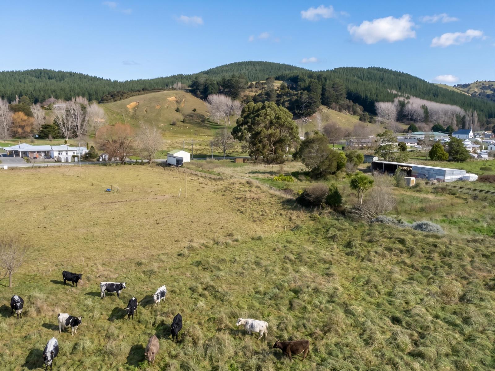 4 and 6 Charles Street, Tinui 