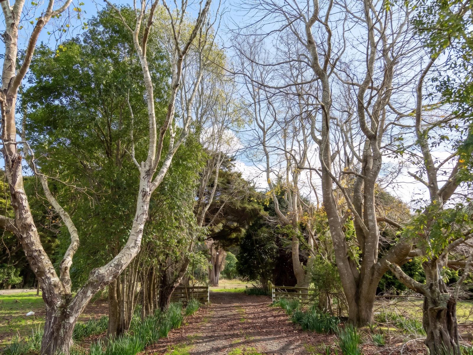 427 Tinui Valley Road, Tinui 