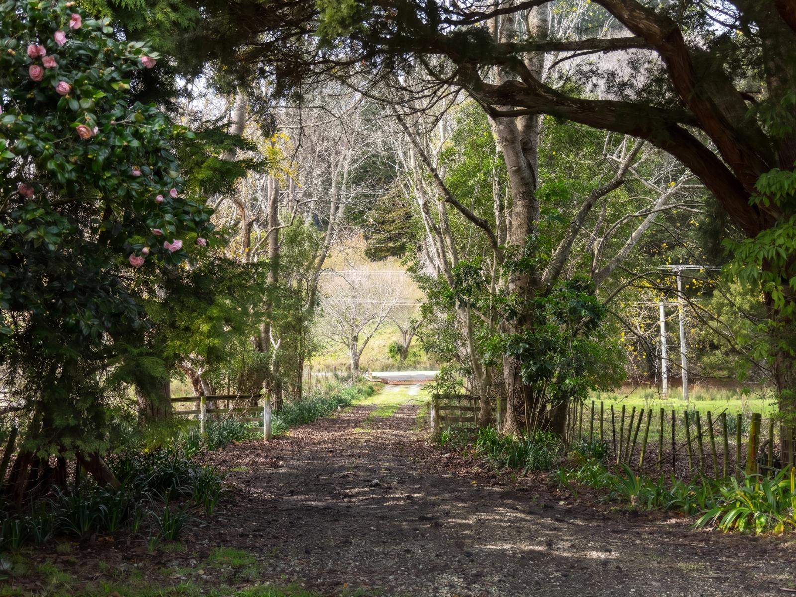 427 Tinui Valley Road, Tinui 
