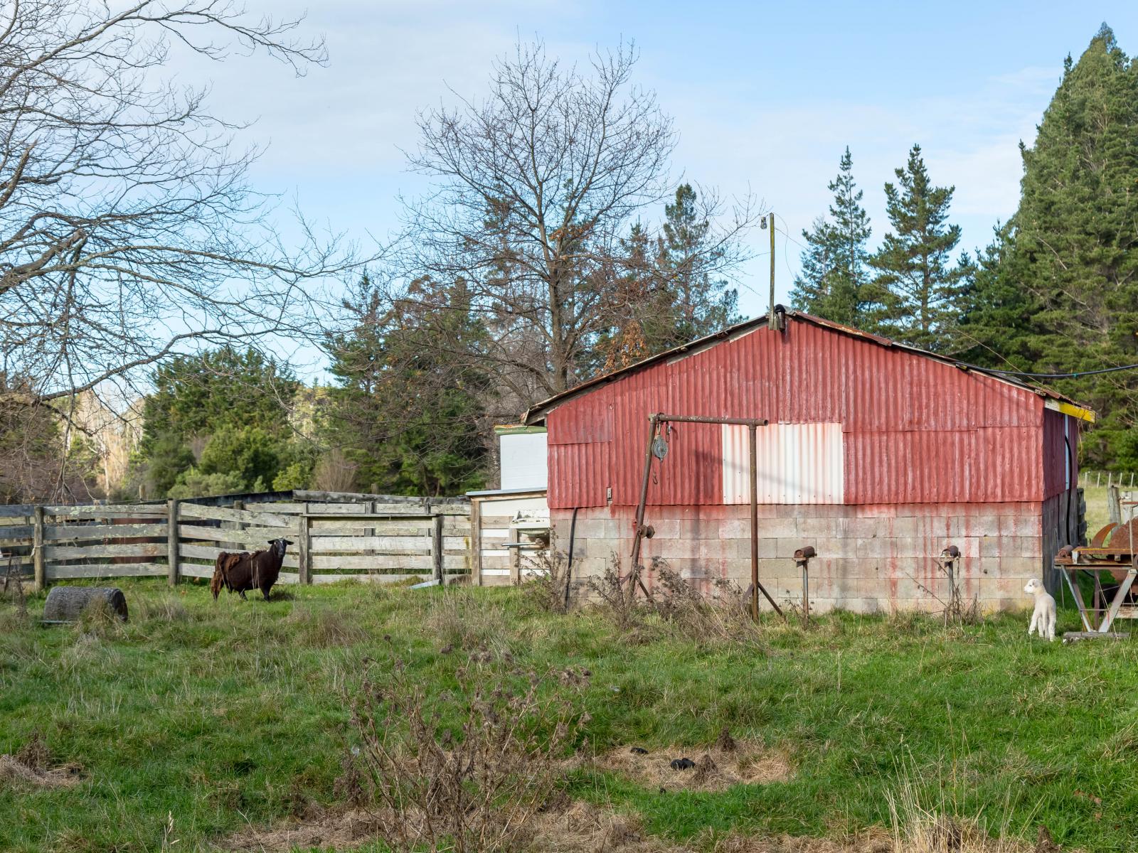 803 Norfolk Road, Carterton