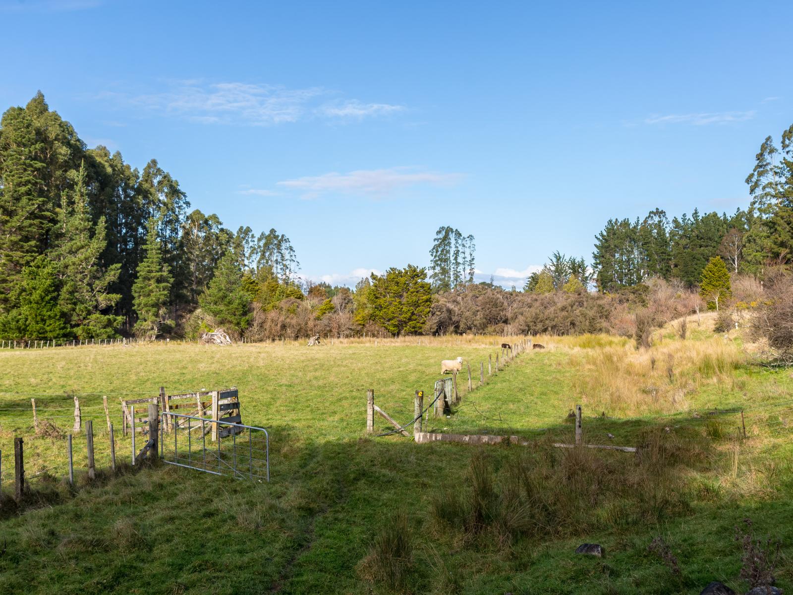 803 Norfolk Road, Carterton